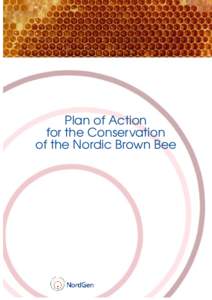 Plan of Action for the Conservation of the Nordic Brown Bee This action plan is based on the conclusions of an ad-hoc working group on the conservation of the Nordic Brown bee, comprised of