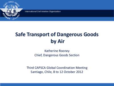 International Civil Aviation Organization  Safe Transport of Dangerous Goods by Air Katherine Rooney Chief, Dangerous Goods Section
