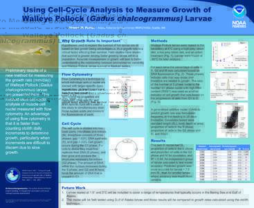 Using Cell-Cycle Analysis to Measure Growth of Walleye Pollock (Gadus chalcogrammus) Larvae Steven M. Porter – Alaska	Fisheries	Science	Center,	NMFS/NOAA,	Seattle,	WA Preliminary results of a new method for measuring