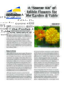 Botany / Biology / Flowers / Medicinal plants / Plant morphology / Plant reproductive system / Pollination / Edible flower / Flower / Tropaeolum / Viola / Pansy