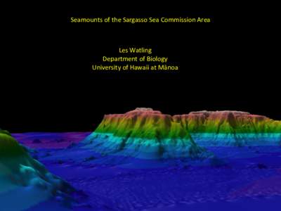 Seamounts of the Sargasso Sea Commission Area  Les Watling Department of Biology University of Hawaii at Mānoa