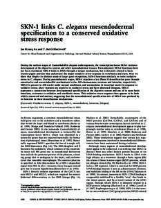 SKN-1 links C. elegans mesendodermal specification to a conserved oxidative stress response Jae Hyung An and T. Keith Blackwell1 Center for Blood Research and Department of Pathology, Harvard Medical School, Boston, Mass