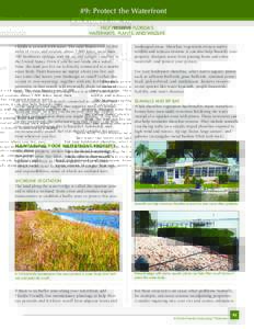 #9: Protect the Waterfront HELP PRESERVE FLORIDA’S WATERWAYS, PLANTS, AND WILDLIFE Florida is covered with water. The state boasts over 10,000 miles of rivers and streams, about 7,800 lakes, more than 700 freshwater sp