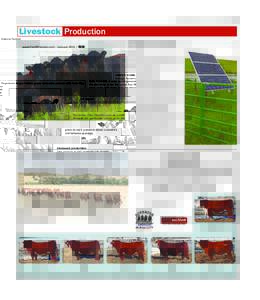 www.FarmProgress.com – JanuaryDakota Farmer Livestock Production HEIFER HOME: Registered Angus heifers graze renovated pasture cells from May