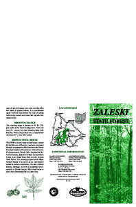 Vinton County /  Ohio / Grouse / Hope Furnace / Ohio / Zaleski State Forest / Lake Hope State Park