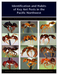 Identification and Habits of Key Ant Pests in the Pacific Northwest A PA C I F I C N O R T H W E S T E X T E N S I O N P U B L I C AT I O N • P N W[removed]Washington State University • Oregon State University • Uni