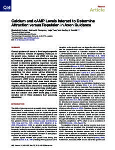 Calcium and cAMP Levels Interact to Determine Attraction versus Repulsion in Axon Guidance