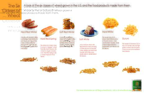 The Six Classes of Wheat A look at the six classes of wheat grown in the U.S. and the food products made from them.
