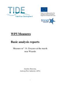 WP5 Measures Basic analysis reports Measure nr° 14. Groynes at the marsh near Waarde  Annelies Boerema,
