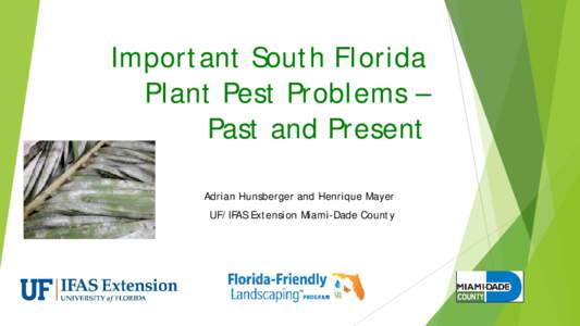 Important South Florida Plant Pest Problems – Past and Present