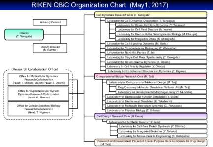 RIKEN QBiC Organization Chart (May1, 2017)　　	 Cell Dynamics Research Core (T. Yanagida) Advisory Council Laboratory for Cell Dynamics Observation (T. Yanagida) Laboratory for Single Cell Gene Dynamics (Y. Taniguchi)