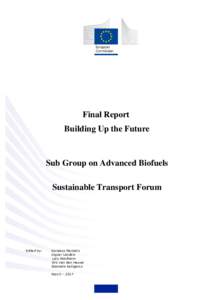 Final Report Building Up the Future Sub Group on Advanced Biofuels Sustainable Transport Forum