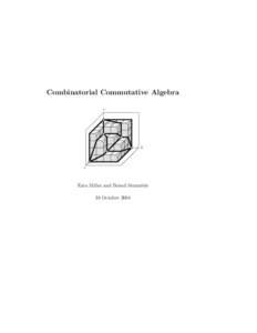 Combinatorial Commutative Algebra z PSfrag replacements y