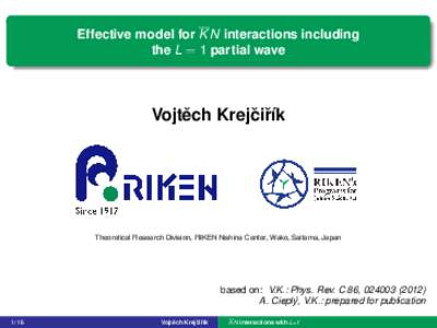 Effective model for K N interactions including the L = 1 partial wave ˇ ˇ r´ık Vojtech