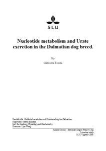Nucleotide metabolism and Urate excretion in the Dalmatian dog breed. By