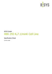 B’SYS GmbH  HEK 293 KV7.1/minK Cell Line Specification Sheet © B’SYS GmbH