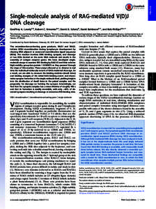PNAS PLUS  Single-molecule analysis of RAG-mediated V(D)J DNA cleavage Geoffrey A. Lovelya,b, Robert C. Brewsterb,c, David G. Schatzd, David Baltimoreb,1, and Rob Phillipsa,b,c,1 a