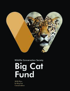 Wildlife Conservation Society  Big Cat Fund 2020 Plan for Big Cat