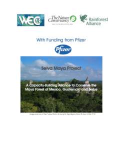 With Funding from Pfizer  Selva Maya Project A Capacity-Building Alliance to Conserve the Maya Forest of Mexico, Guatemala and Belize