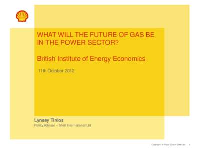 WHAT WILL THE FUTURE OF GAS BE IN THE POWER SECTOR? British Institute of Energy Economics 11th OctoberLynsey Tinios
