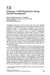 Chapter 13: Changes in DNA Replication during Animal Development (PDF)