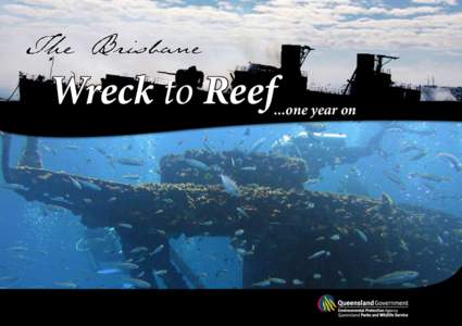 The Brisbane Wreck to Reef ...one year on booklet