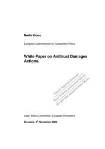 Neelie Kroes European Commissioner for Competition Policy White Paper on Antitrust Damages Actions.
