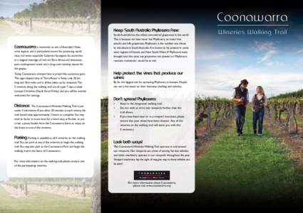 Coonawarra Keep South Australia Phylloxera Free: Coonawarra is renowned as one of Australia’s finest wine regions and is particularly known for producing world class red wines especially Cabernet Sauvignon. Its secret 