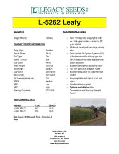 L-5262 Leafy MATURITY KEY HYBRID FEATURES  Silage Maturity