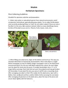 Module Herbarium Specimens Plant Collecting Guidelines Checklist for specimen selection and preparation: 1. Collect only native or naturalized species from natural environments; avoid ornamental, horticultural, agricultu