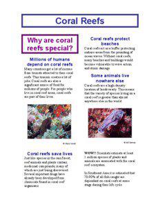 Coral Reefs Why are coral reefs special?