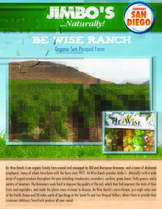 BE WISE RANCH Organic San Pasqual Farm Be Wise Ranch is an organic family farm owned and managed by Bill and Marsanne Brammer, and a team of dedicated employees, many of whom have been with the farm sinceBe Wise R