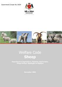 Government Circular No[removed]Welfare Code Sheep Department of Agriculture, Fisheries and Forestry