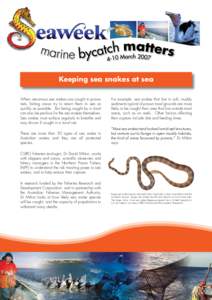 Keeping sea snakes at sea When venomous sea snakes are caught in prawn nets, fishing crews try to return them to sea as quickly as possible. But being caught by a trawl can also be perilous for the sea snakes themselves.