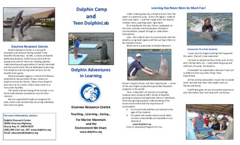 Dolphin Camp  and Teen DolphinLab  Dolphin Research Center