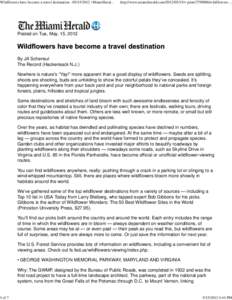Wildflowers have become a travel destination | MiamiHerald.com