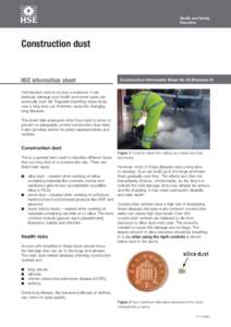 Health and Safety Executive Construction dust  HSE information sheet