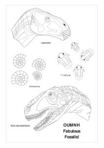 Iguanodon  Trilobites Ammonites