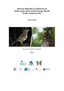 SINGLE SPECIES ACTION PLAN forthe conservation of the Príncipe Thrush Turdus xanthorhynchus[removed]