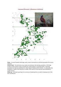 Common Pheasant (Phasianus colchicus)  Status: Common breeder (with large-scale, annual, introductions to the feral population from game interests). Current trend: The distribution map maybe overestimates the breeding po