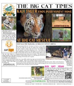 THE BIG CAT TIMES  Select Big Cat Rescue as your designated charity at: http://smile.amazon.com/ For every purchase you make