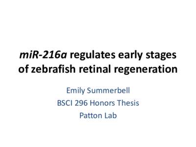 miR-216a regulates early stages of zebrafish retinal regeneration Emily Summerbell BSCI 296 Honors Thesis Patton Lab