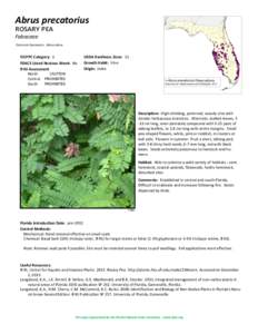 Abrus precatorius rosary pea Fabaceae Common Synonyms: Abrus abrus  FLEPPC Category: 1