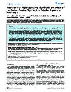 Mitochondrial Phylogeography Illuminates the Origin of the Extinct Caspian Tiger and Its Relationship to the Amur Tiger Carlos A. Driscoll1,2*, Nobuyuki Yamaguchi1¤, Gila Kahila Bar-Gal3, Alfred L. Roca4,5, Shujin Luo2,