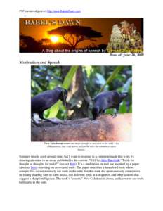 Corvus / Apes / Animal intelligence / Crow / Scavengers / Tool use by animals / Tool / Human / Rook / Zoology / Biology / Megafauna