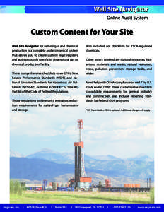 Online Audit System  Custom Content for Your Site Well Site Navigator for natural gas and chemical production is a complete and economical system that allows you to create custom legal registers