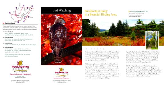 Bird Watching  Pocahontas County is a Beautiful Birding Area.  ■ Cranberry Glades Botanical Area