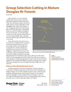 Group Selection Cutting in Mature Douglas-fir Forests