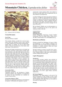 Species Management Guidelines No.  Mountain Chicken, Leptodactylus fallax implemented. Captive breeding efforts were initiated in the AZA in the late 1980’s but no reproduction has yet been achieved in this programme.