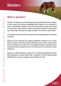 General Disease Information Sheets  Glanders What is glanders? Glanders is an infectious and life-threatening disease that mainly affects horses, donkeys or mules caused by the bacterium Burkholderia mallei. Glanders can